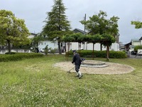 1748904261537.jpg